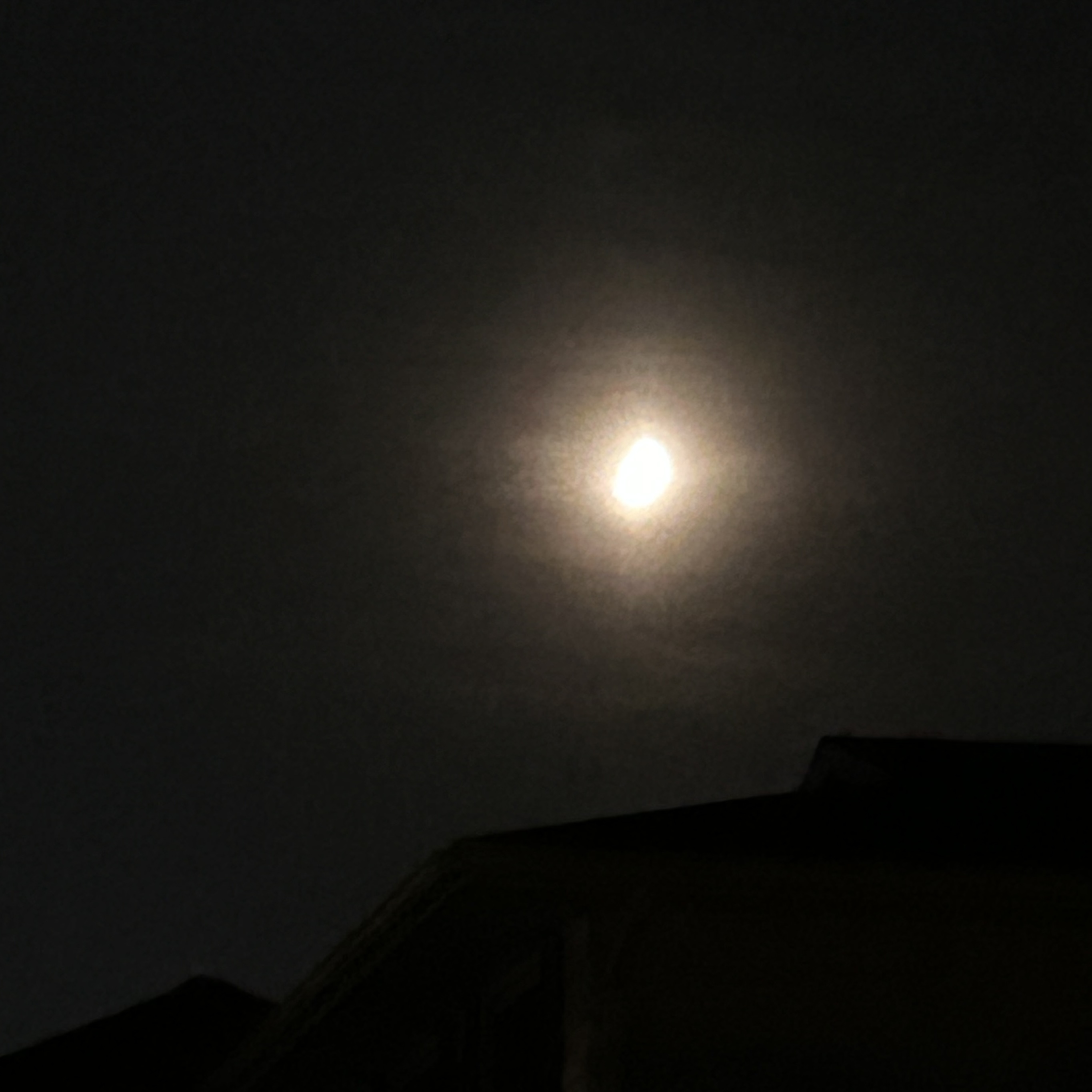 Sample plack image